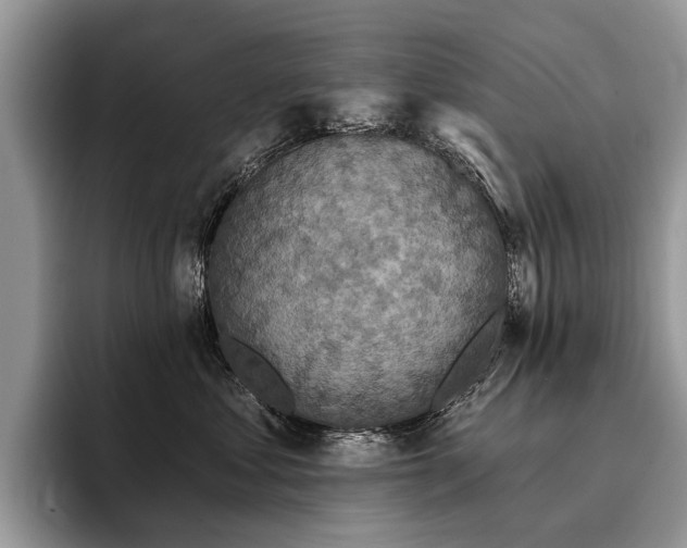 X0000096210621200801181431