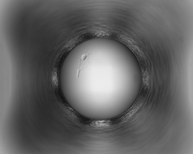 X0000096210622200801181431