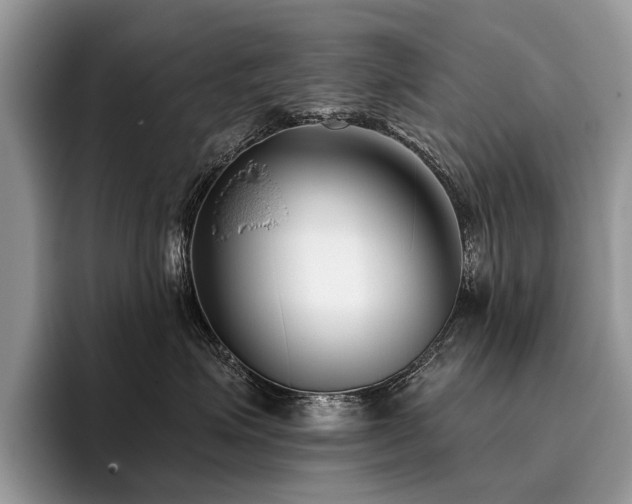 X0000096210623200801181431