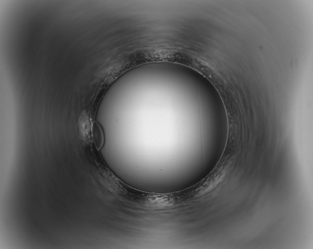 X0000096210624200801181431