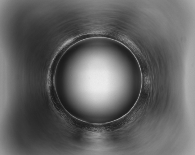 X0000096210628200801181431