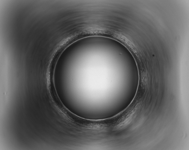 X0000096210629200801181431