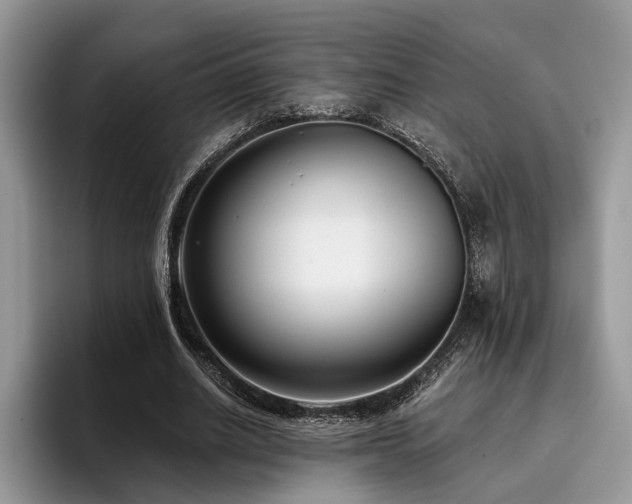 X0000096210630200801181431