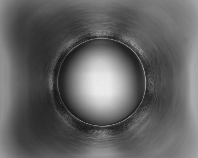 X0000096210631200801181431