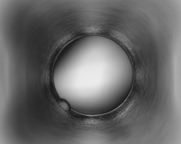 X0000096210633200801181431