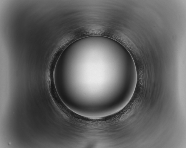 X0000096210634200801181431