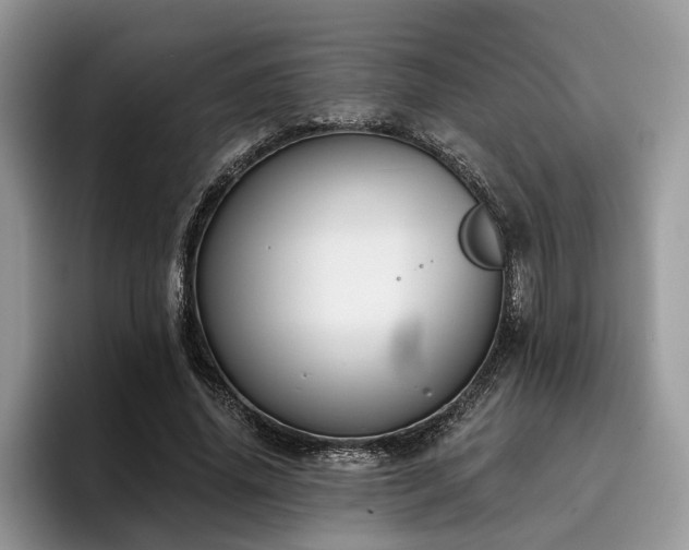 X0000096210636200801181431