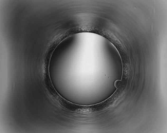 X0000096210639200801181431