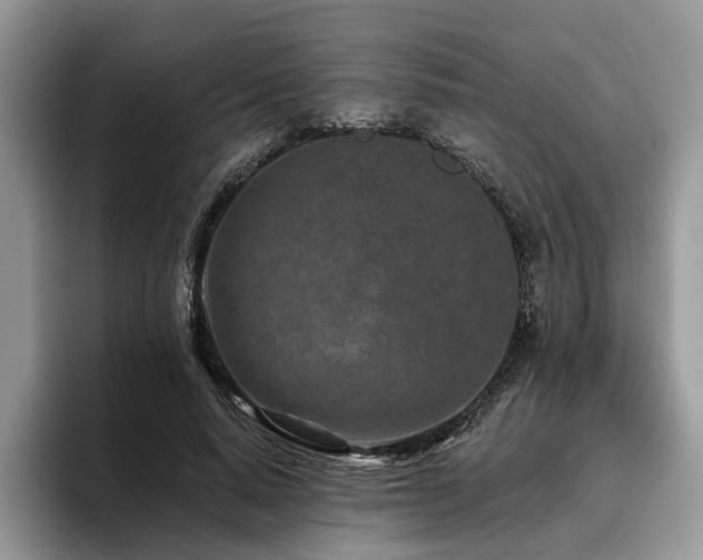 X0000096210640200801181431
