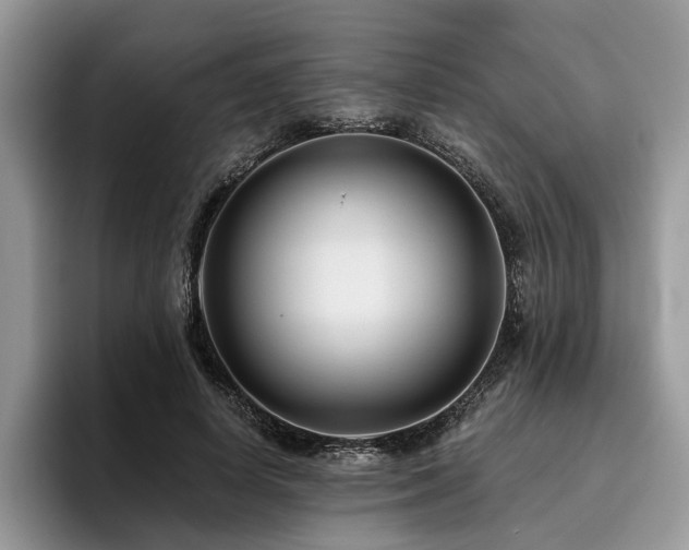 X0000096210642200801181431
