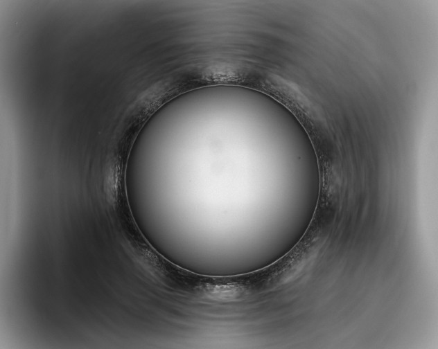 X0000096210645200801181431