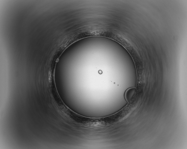 X0000096210646200801181431