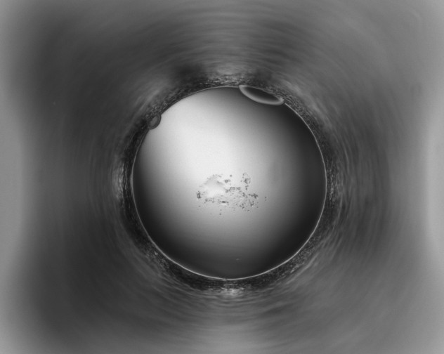 X0000096210647200801181431