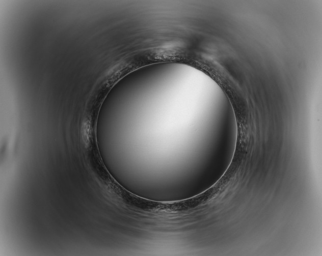 X0000096210648200801181431