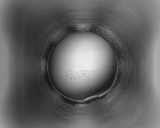 X0000096210649200801181431