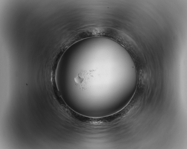 X0000096210650200801181431