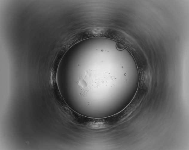 X0000096210651200801181431