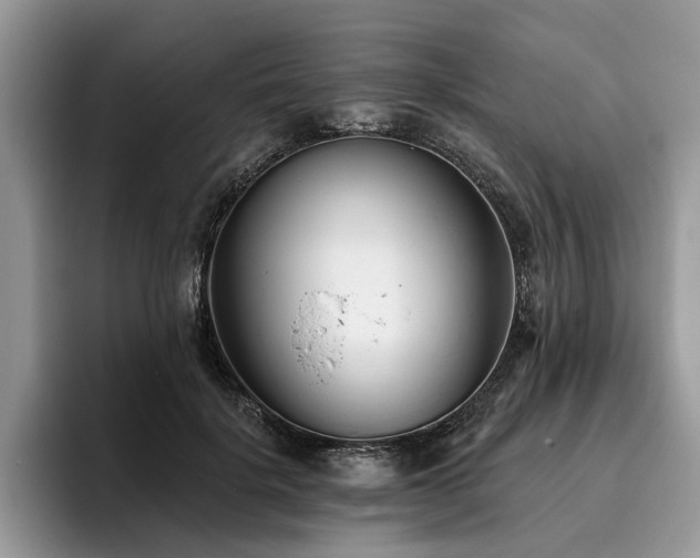 X0000096210652200801181431