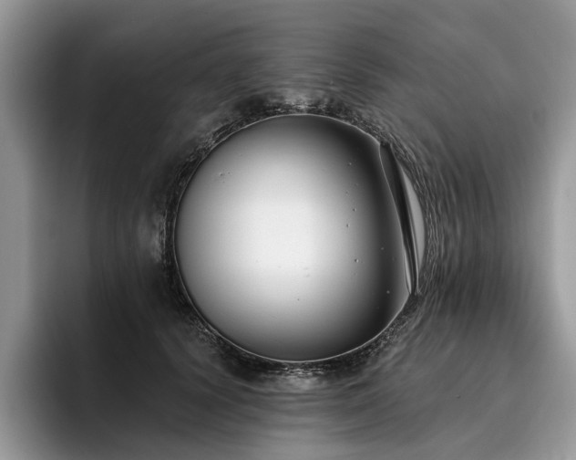 X0000096210656200801181431