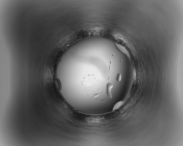 X0000096210661200801181431