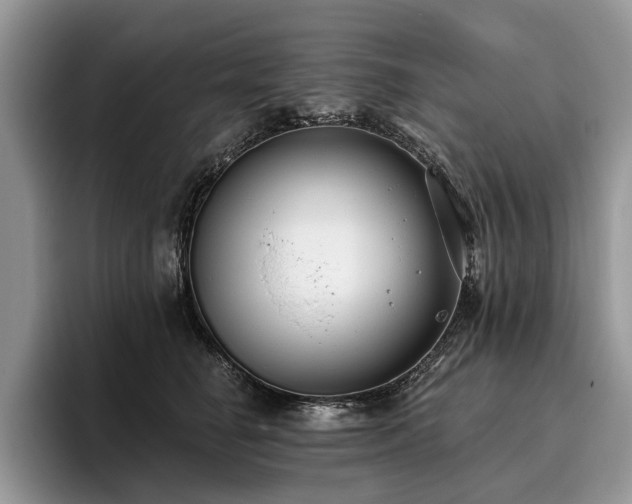 X0000096210662200801181431