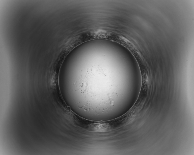 X0000096210663200801181431