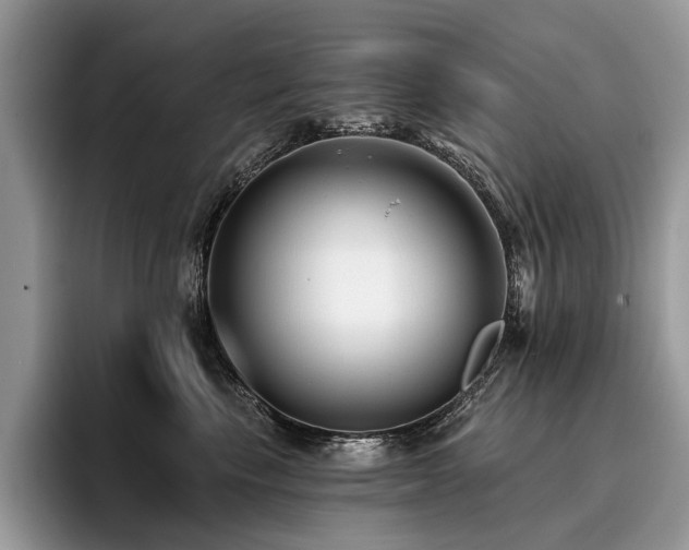 X0000096210665200801181431