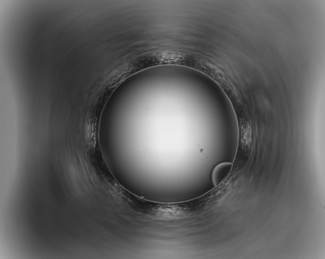 X0000096210666200801181431