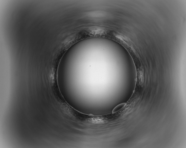 X0000096210668200801181431