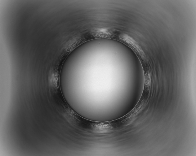 X0000096210669200801181431