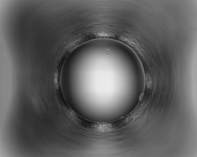 X0000096210670200801181431
