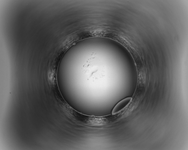 X0000096210671200801181431