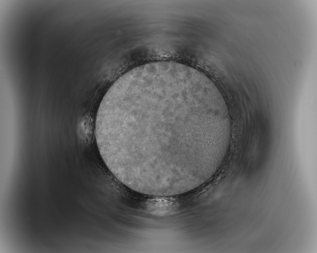 X0000096210672200801181431