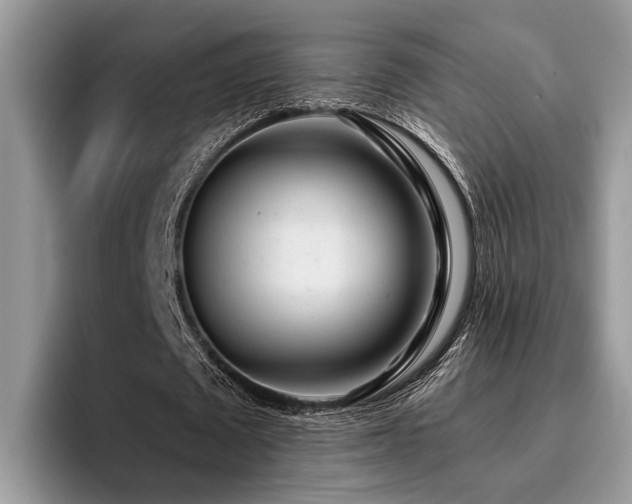X0000096210673200801181431