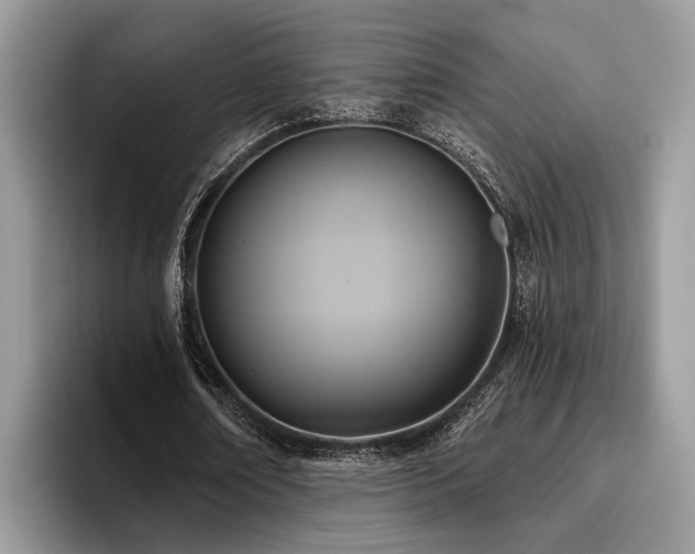 X0000096210674200801181431