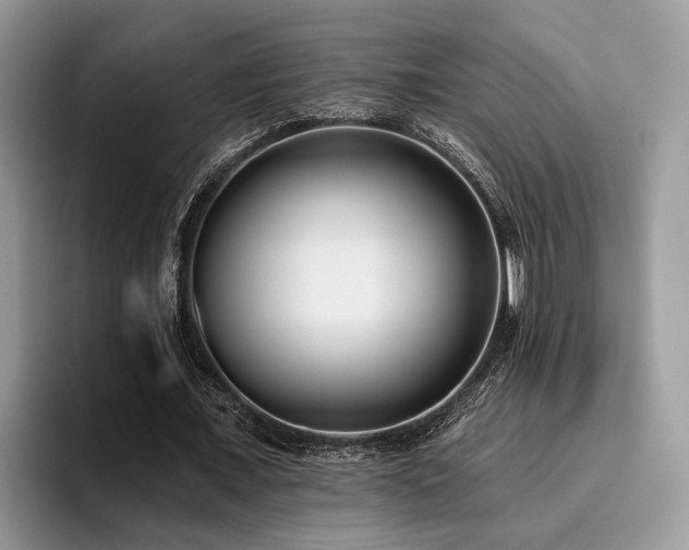 X0000096210675200801181431