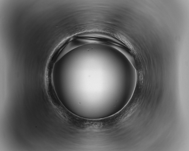 X0000096210676200801181431