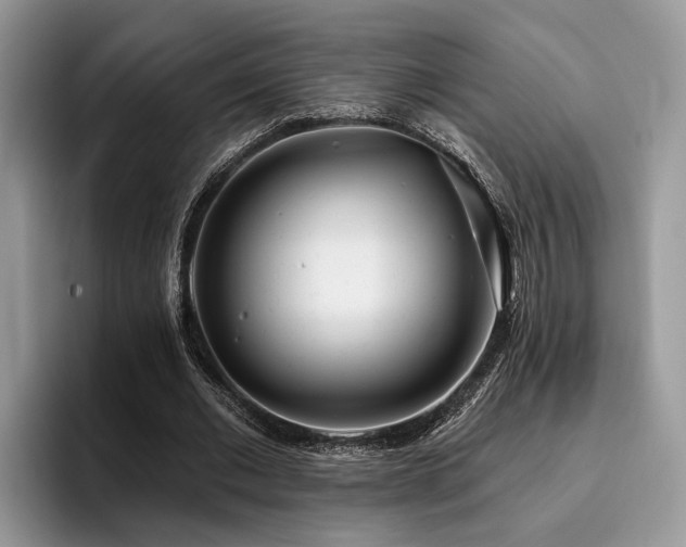 X0000096210677200801181431