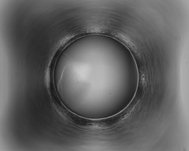 X0000096210678200801181431