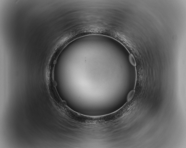 X0000096210679200801181431