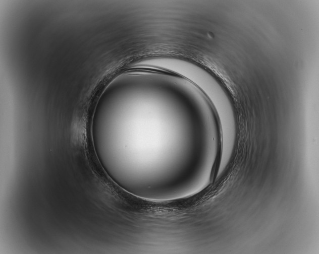 X0000096210681200801181431