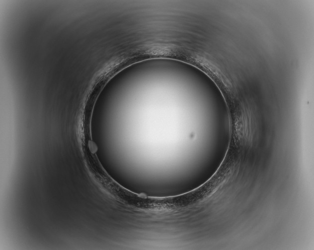 X0000096210682200801181431