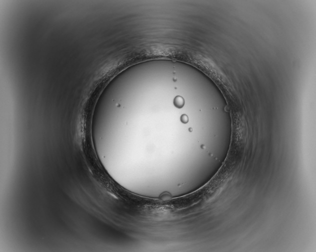 X0000096210683200801181431