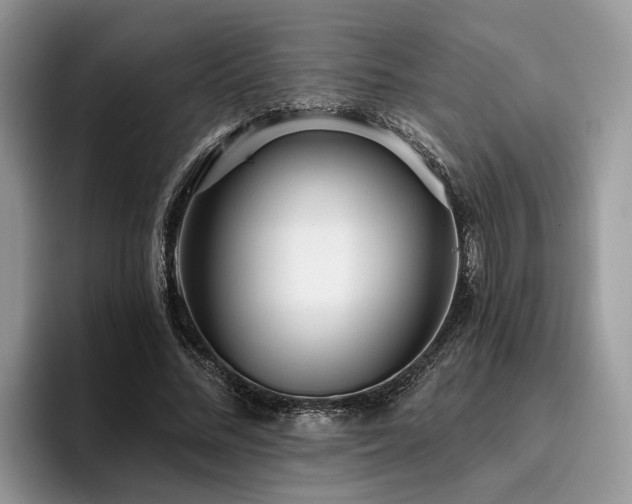 X0000096210684200801181431