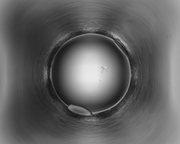 X0000096210685200801181431