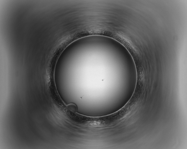 X0000096210687200801181431