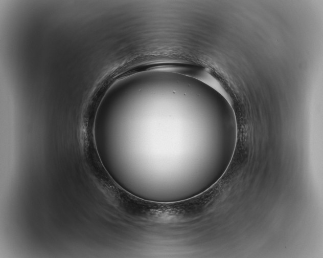 X0000096210688200801181431