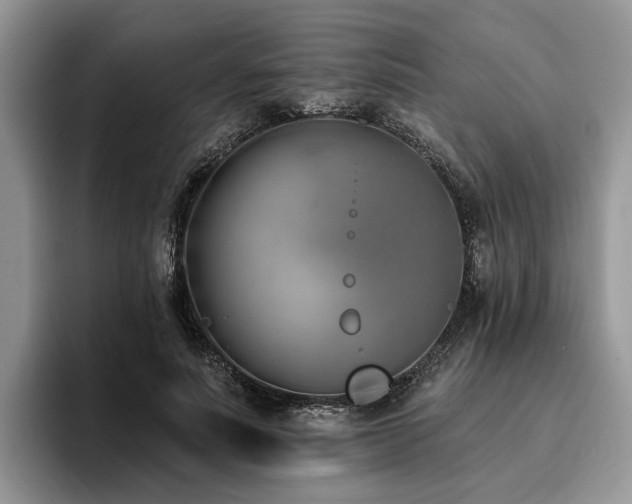 X0000096210691200801181431