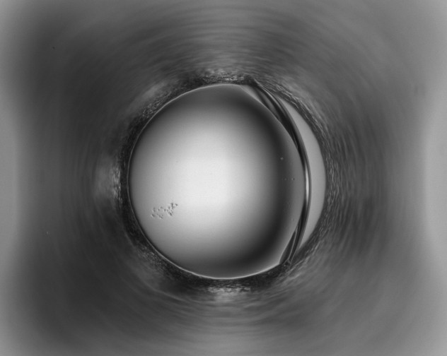 X0000096210693200801181430