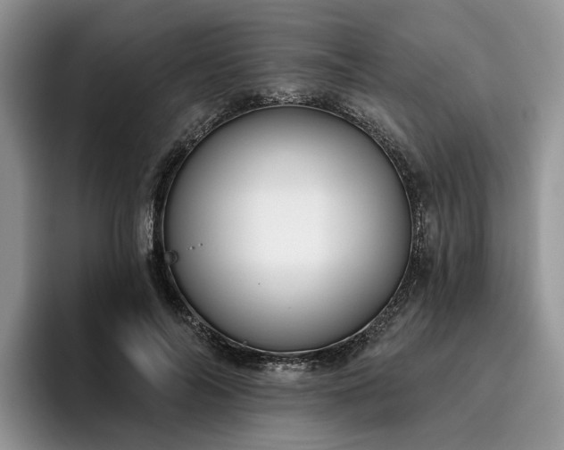 X0000096210694200801181430
